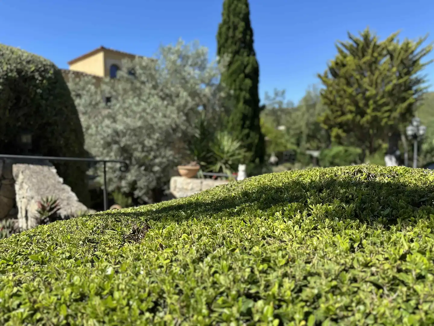 Garten von Country house zum Verkauf in Andratx mit Klimaanlage, Heizung und Abstellraum
