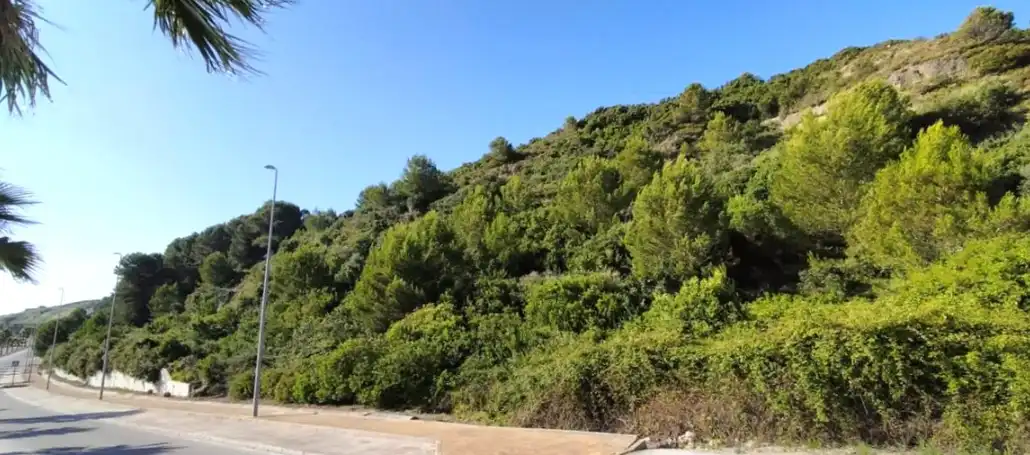 Grundstücke und Bauplätze zum Verkauf in Doña Julia, imagen 7