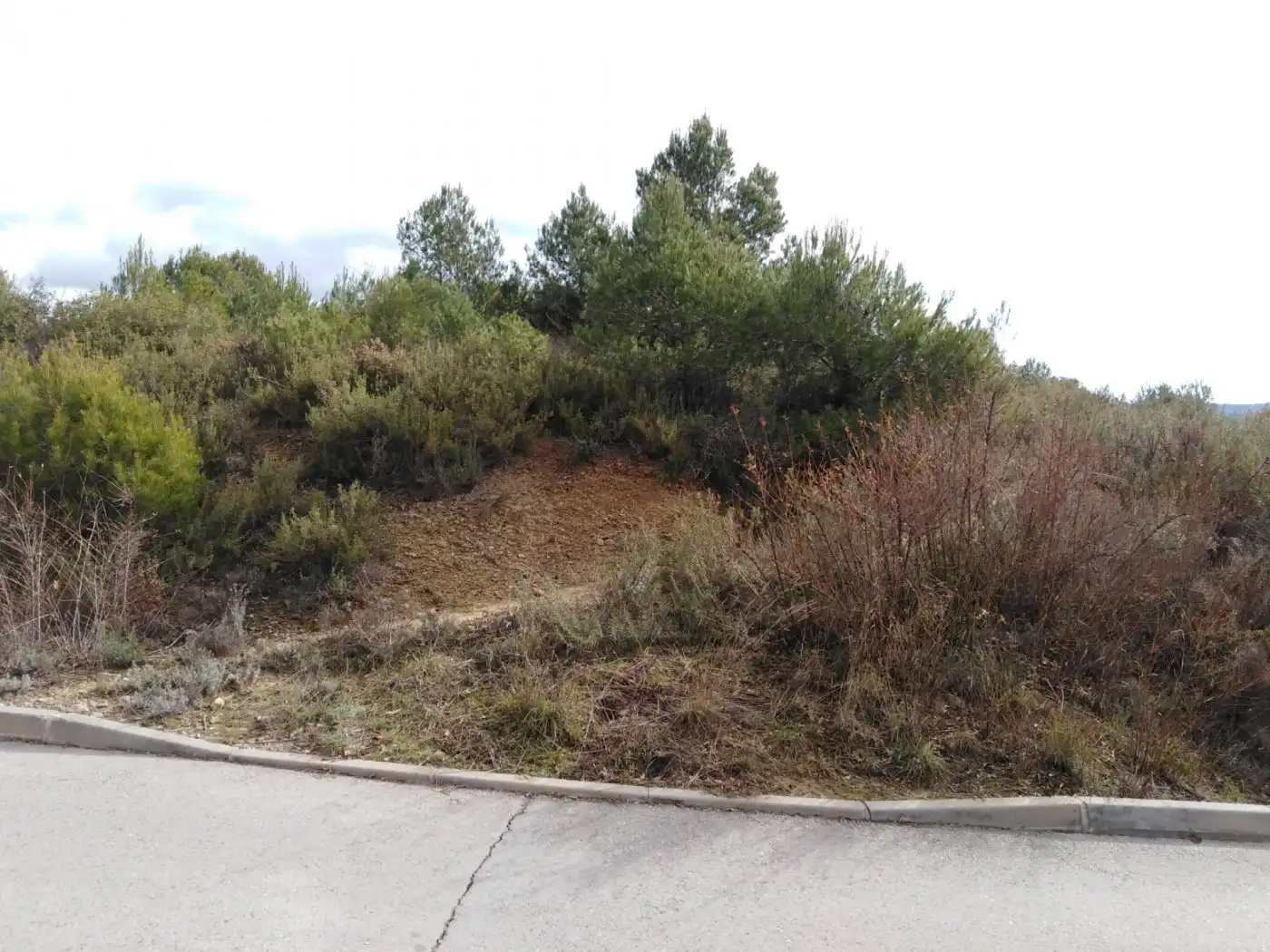Terreny residencial en venda a Calle ISARD