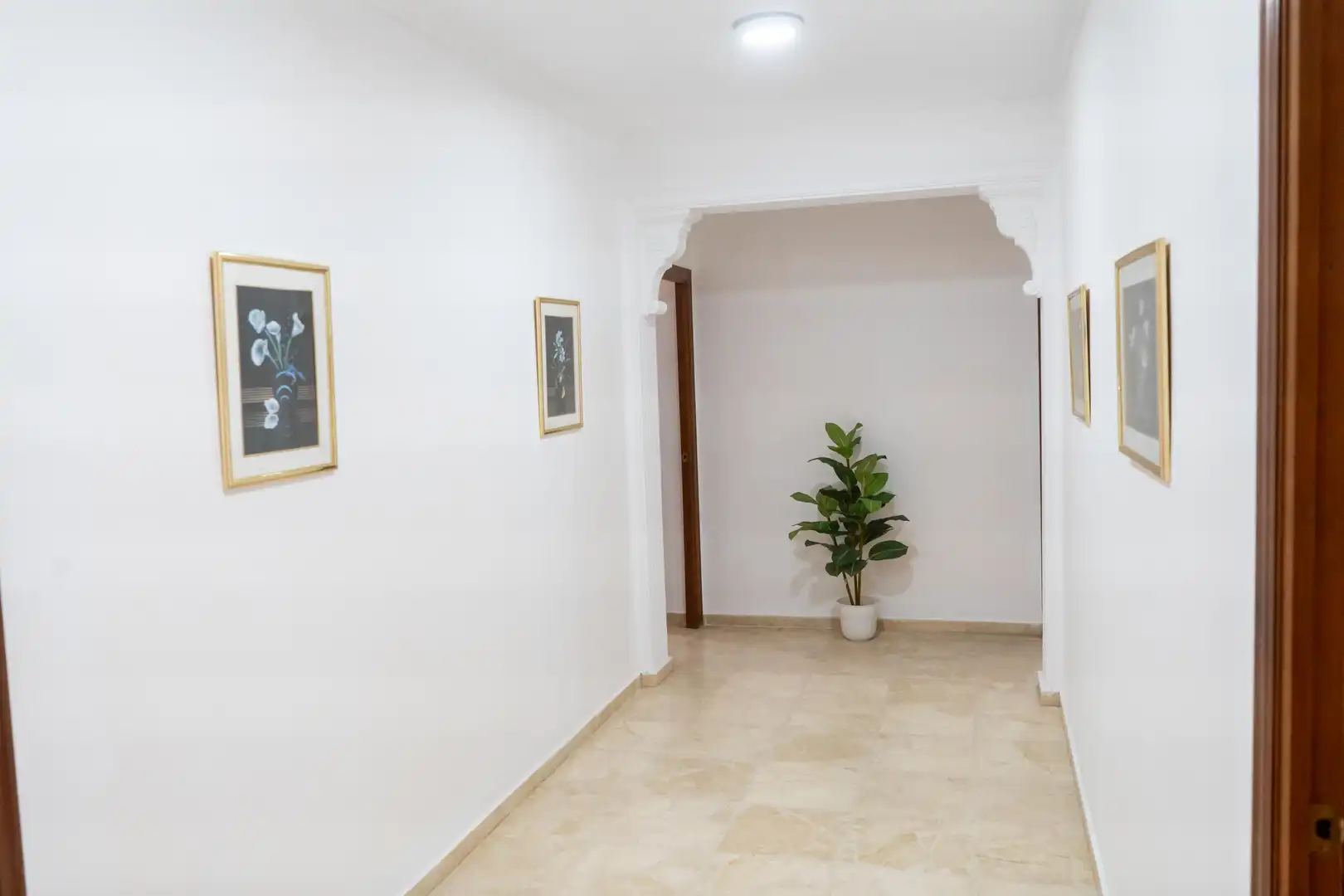 Casa o xalet en venda en Sanlúcar de Barrameda amb Jardí privat