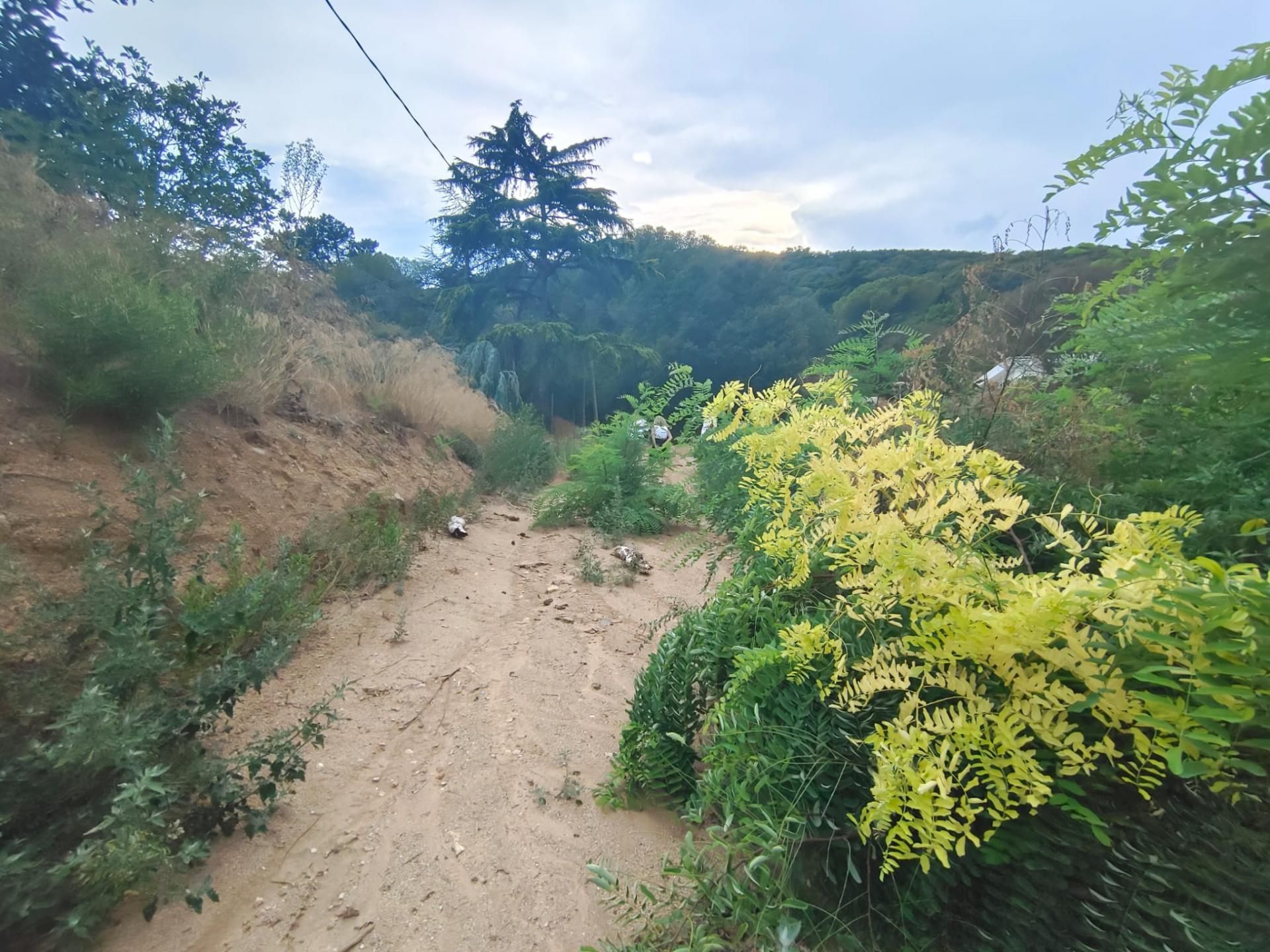 Residential zum verkauf in Carrer de Bonavista, Vallromanes