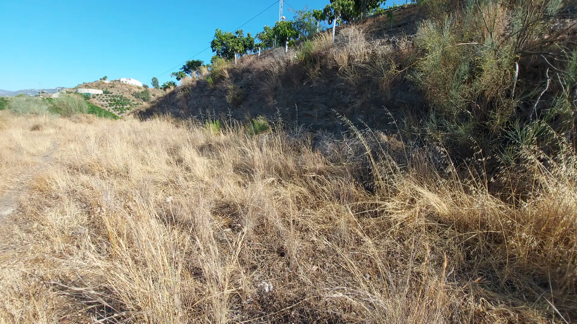 Terrain rustique à vendre à Vélez-Málaga ciudad, imagen 3