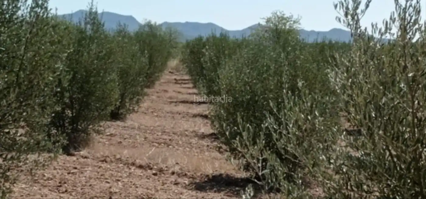 Rural land for sale in Muralla de Sant Antoni 54