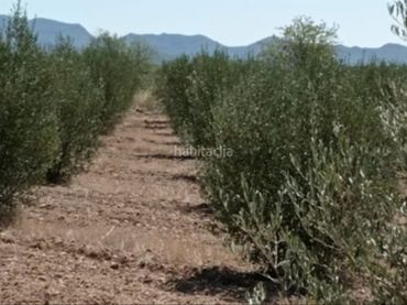 Rustikales Grundstück zum Verkauf in Muralla de Sant Antoni 54