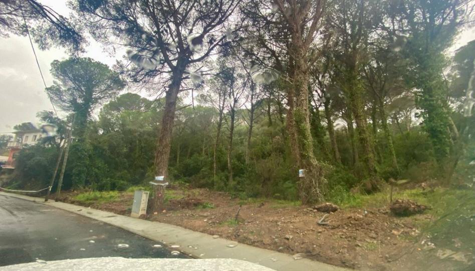 Foto 1 de Terreny industrial en venda a Mas Pere - Río de Oro, Girona