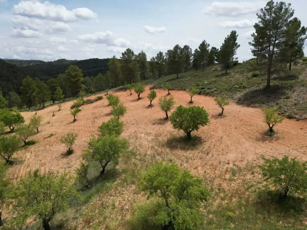 Residential for sale in Vallejo De La Tia Casta, Mira