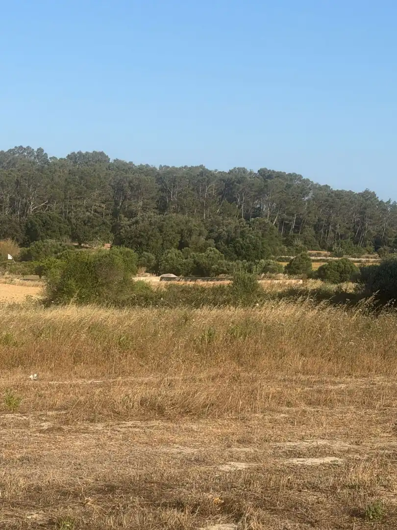 Finca rústica en venda en Sineu amb Terrassa