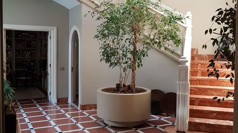 Photo 4 of Houses for sale in Ifara - Las Mimosas, Santa Cruz de Tenerife Capital