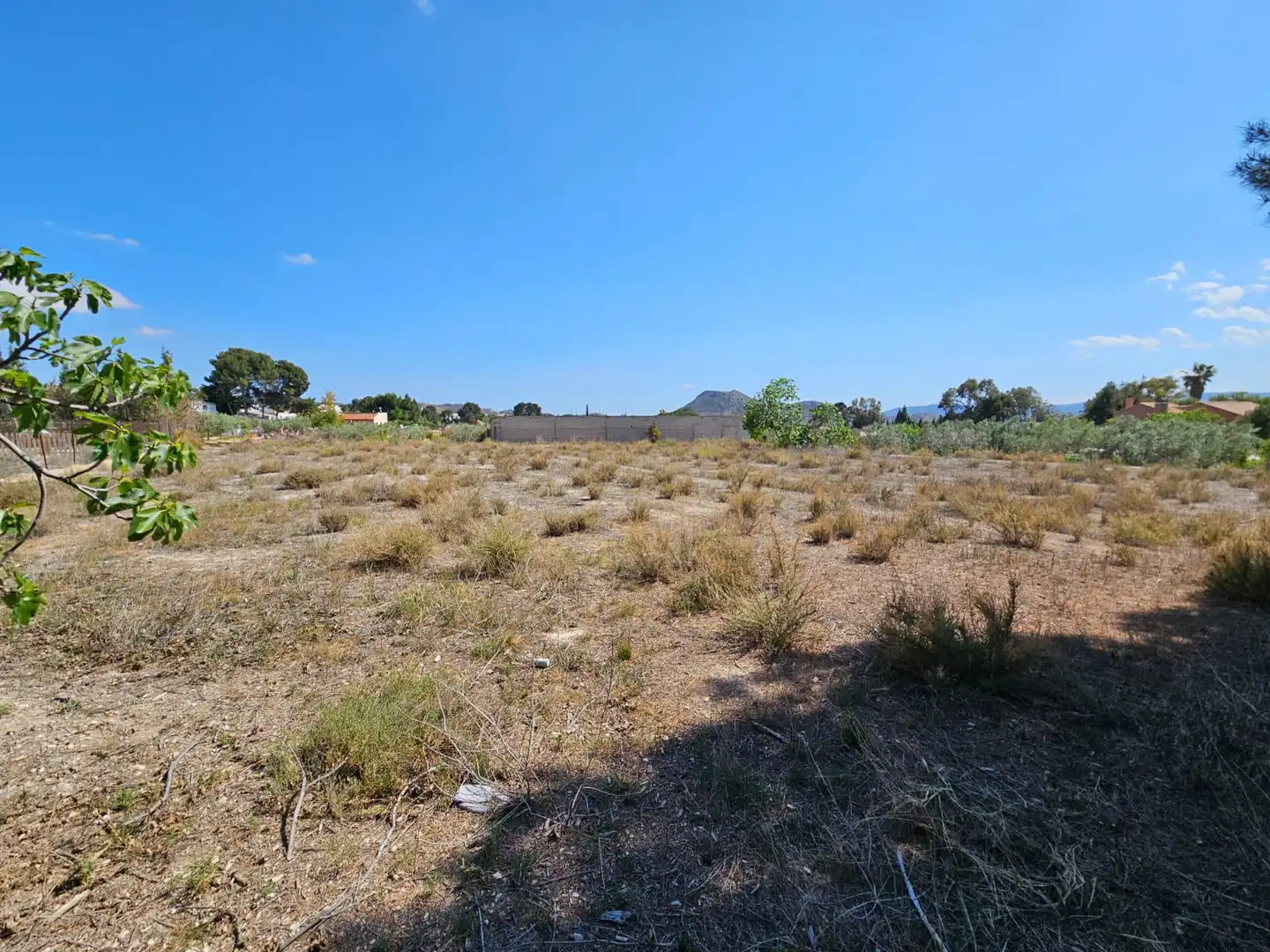 Country house for sale in Petrer, imagen 28