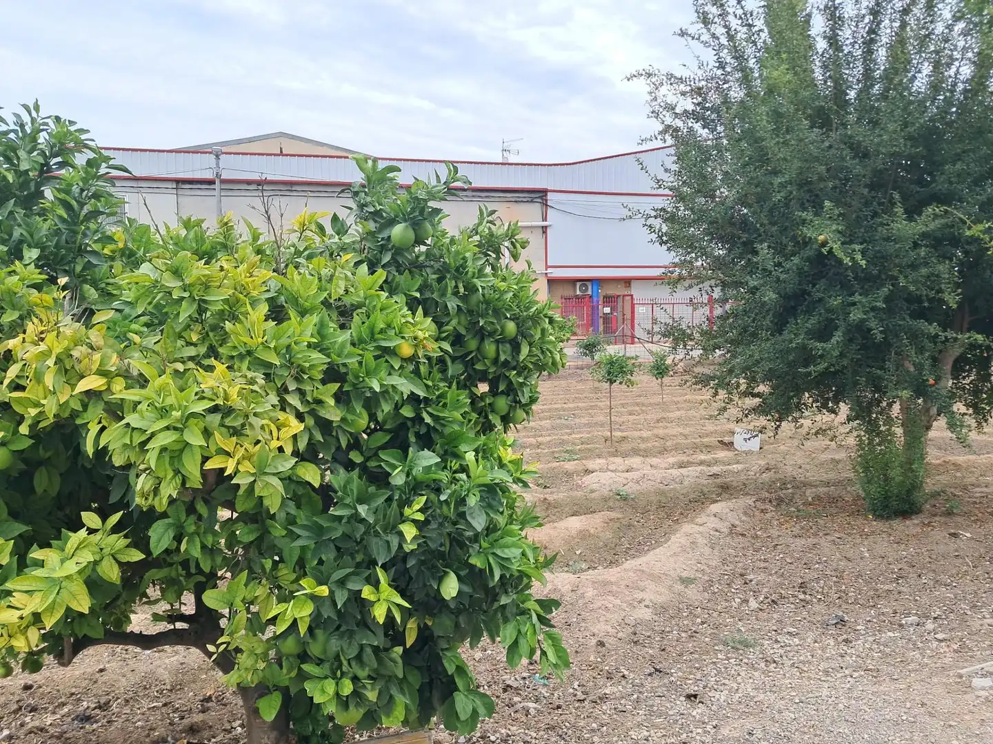 Maison rustique avec jardin à vendre à Calle de los Lechugas, imagen 7