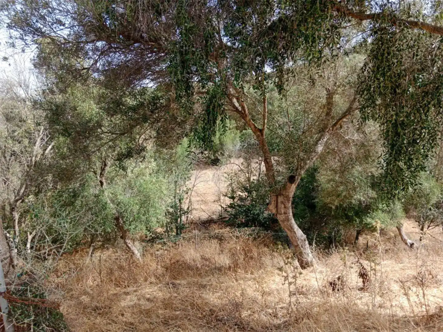 Country house zum Verkauf in Vejer de la Frontera
