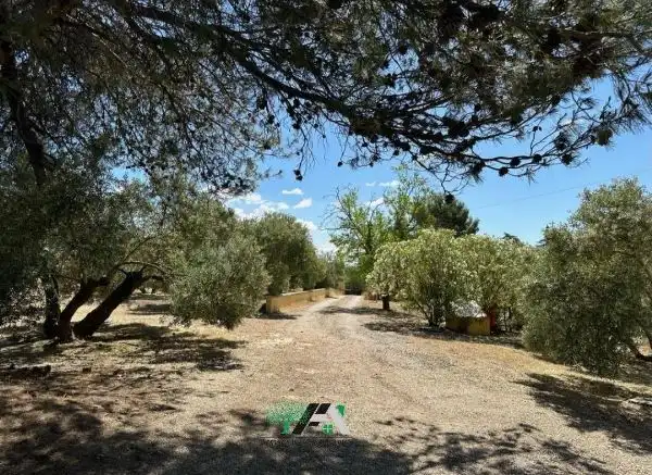 Casa rústica amb piscina en venda a Baeza, imagen 33