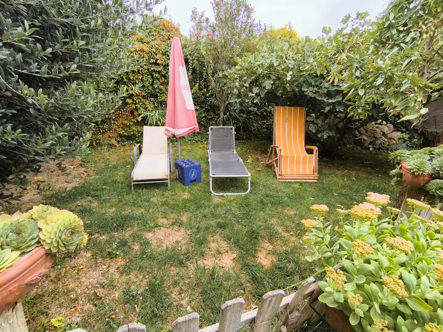 Jardín de Finca rústica en venta en Amusco, Palencia