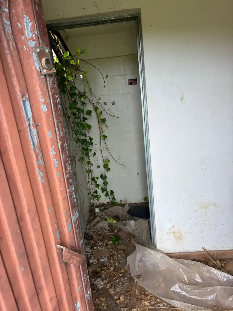 Terreny rústic en venda a El Sauzal, imagen 15