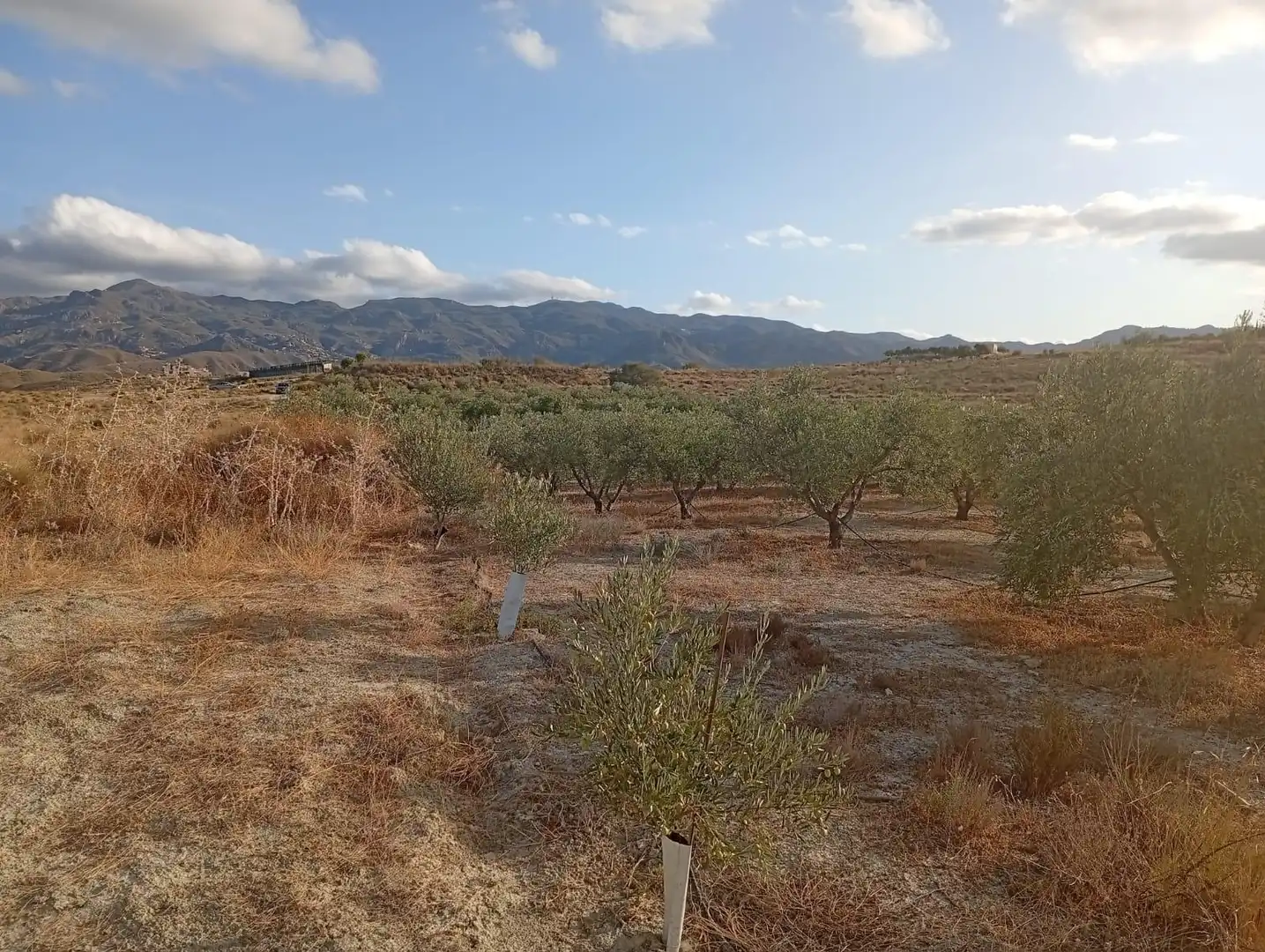 Terrenys i solars en venda a Los Gallardos, imagen 18