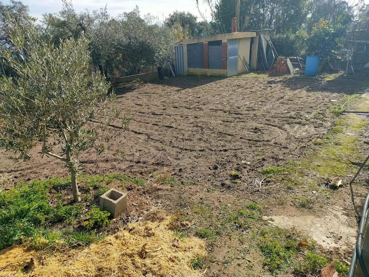 Casa o chalet en venta en Riudarenes con Terraza