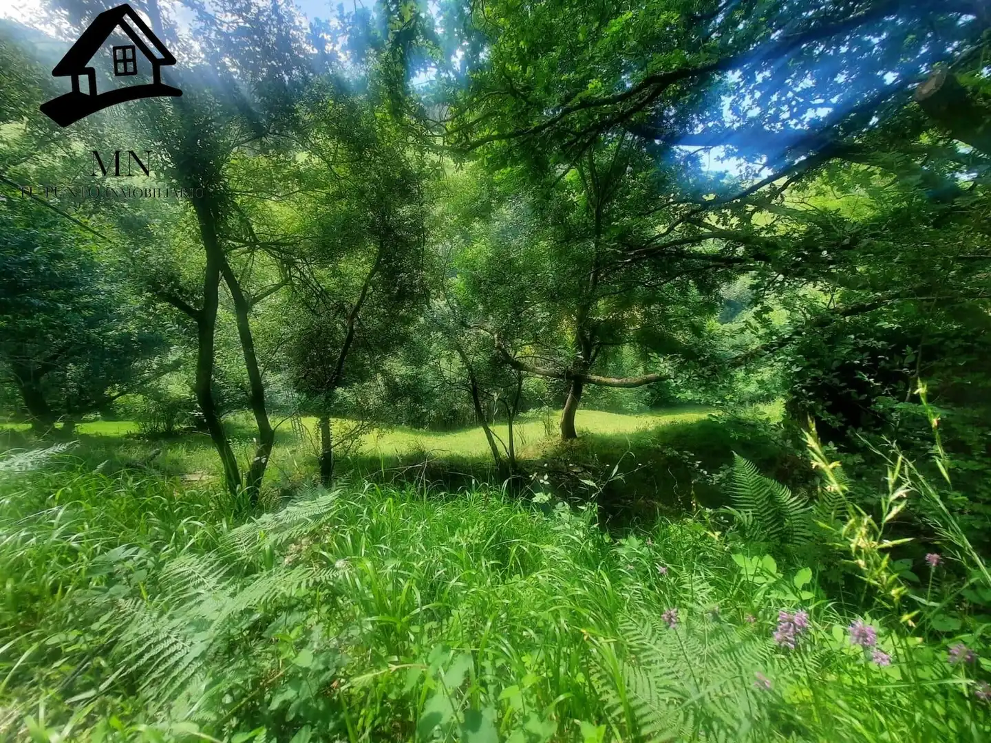 Country homes for sale in Selaya