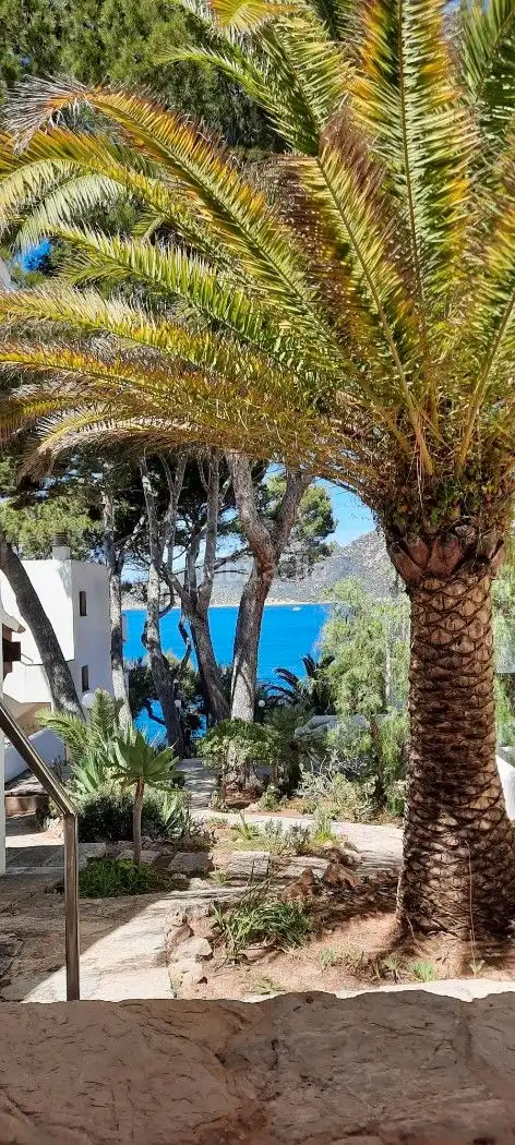 Appartement avec jardin à louer à Carrer Cala es Conills 42, imagen 41
