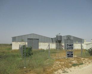 Exterior view of Industrial buildings for sale in Mahora