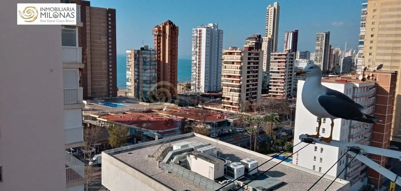 Apartament amb piscina en venda a Calle Calle Gerona 48, imagen 11