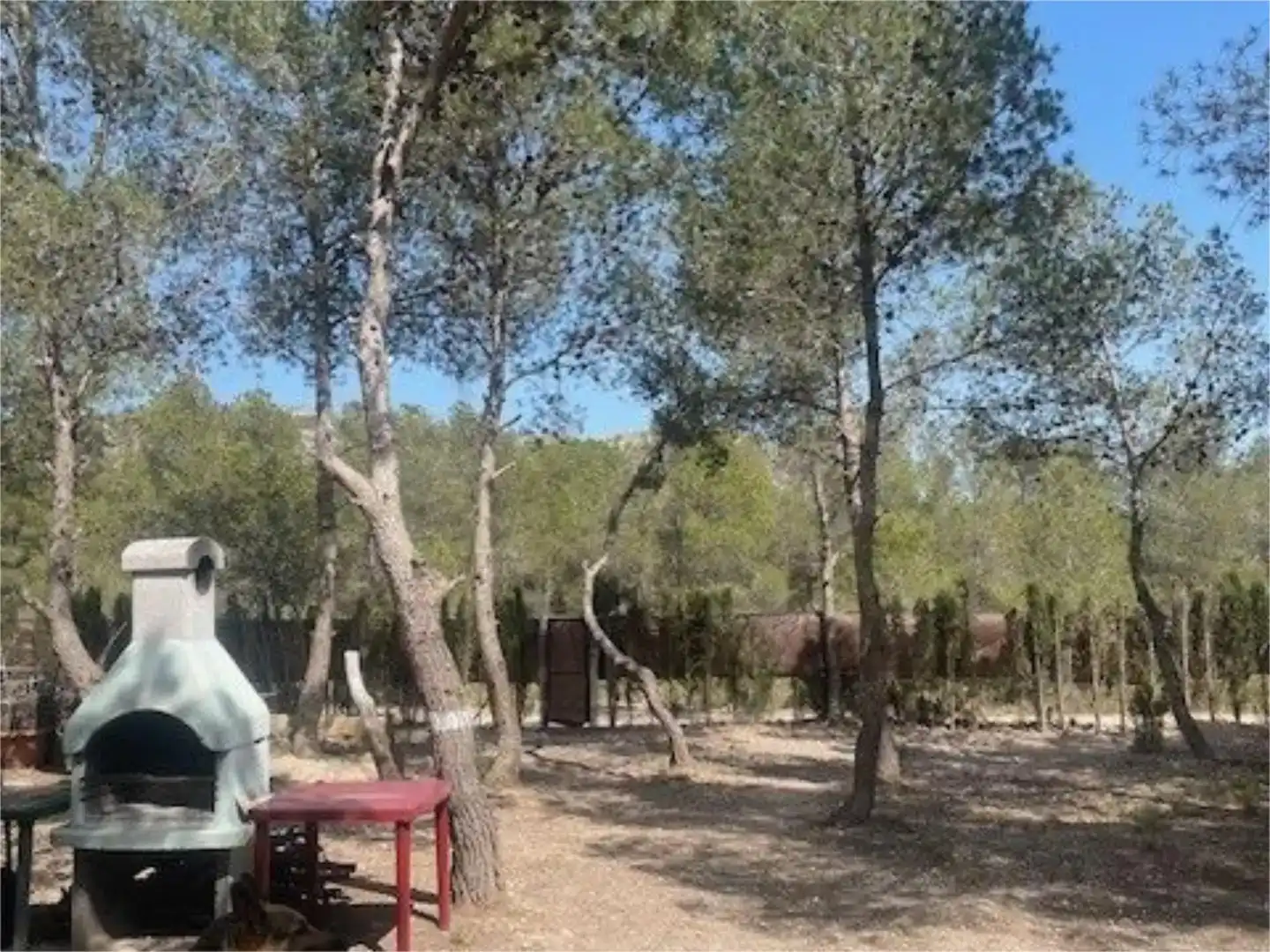 Garten von Wohnung zum Verkauf in Tibi mit Balkon
