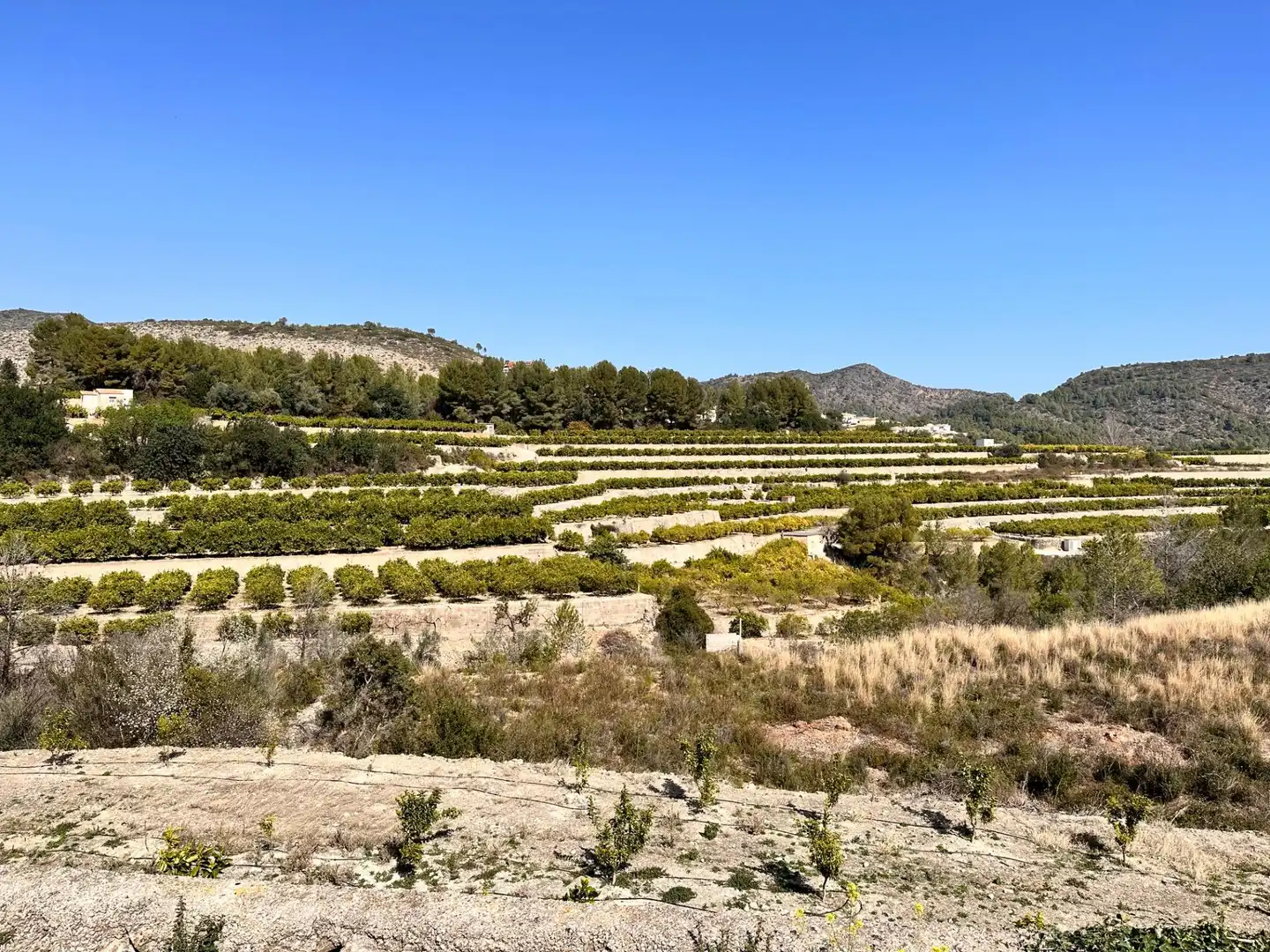 Residencial en venta en L'Atzúbia