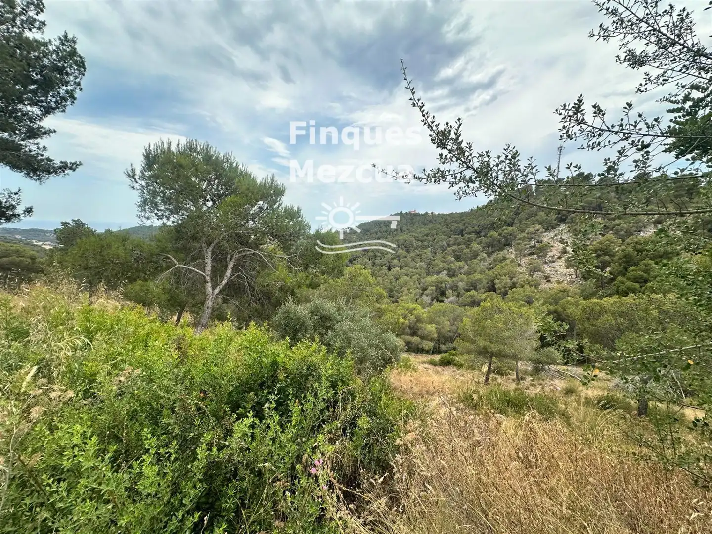 Terreny rústic en venda a Tarragona, imagen 3