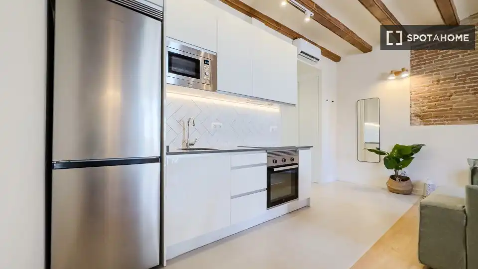 Flat for rent in El Raval