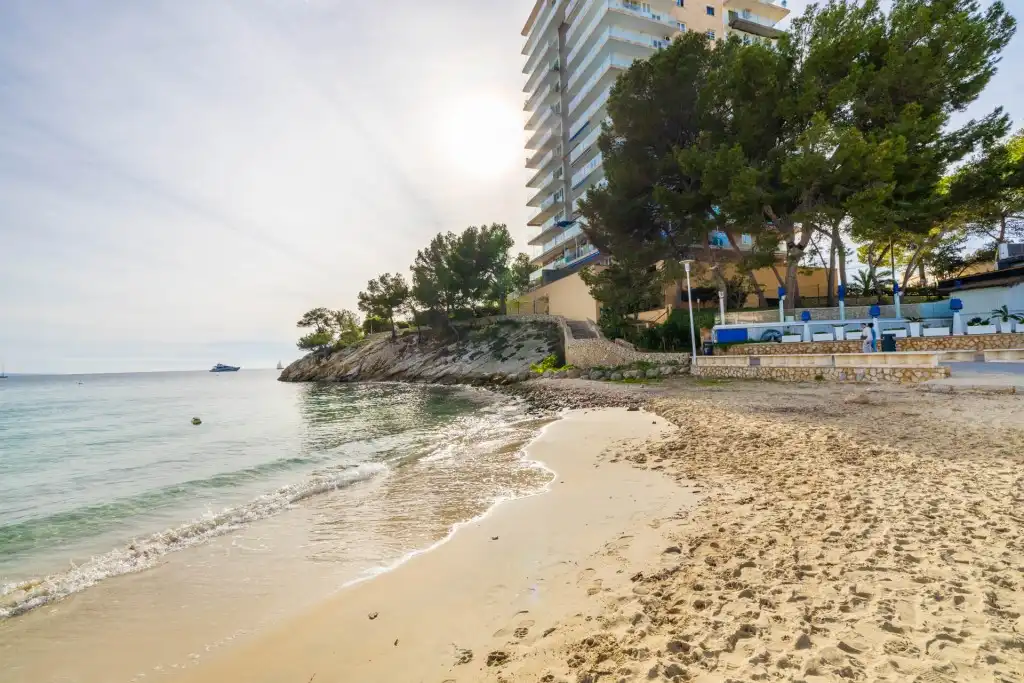 Apartamento con ascensor en venta en Palmanova, imagen 15