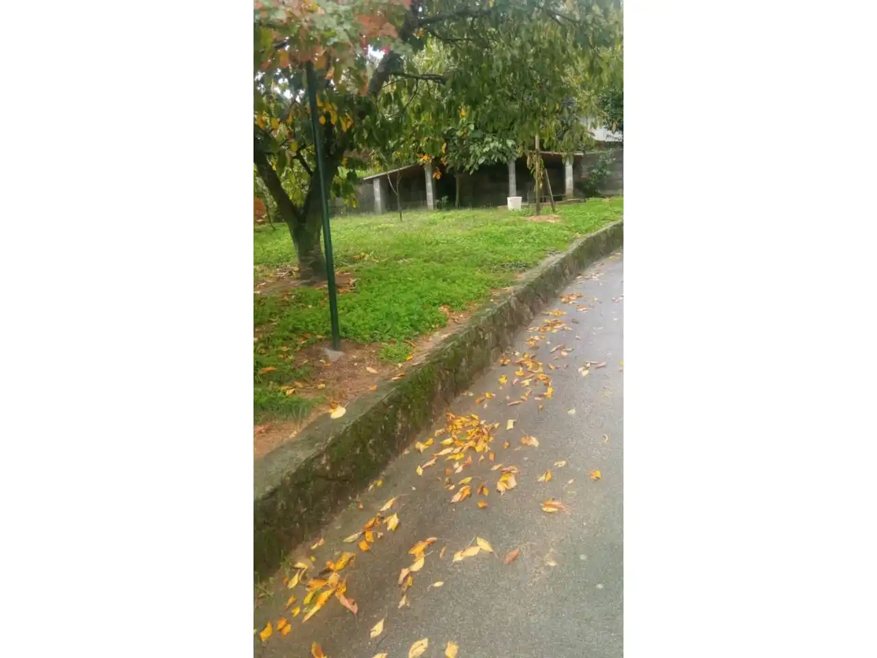 House with garden for sale in O Pereiro de Aguiar, imagen 6