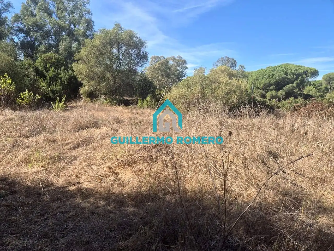 Finca rústica en venta en La Puebla del Río