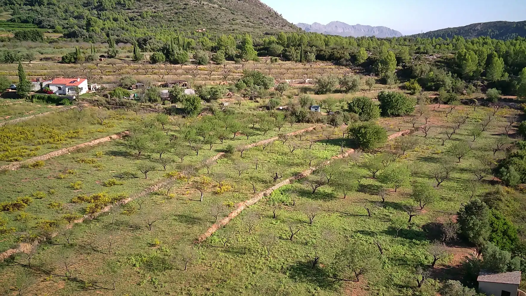 Terreny residencial en venda a Murla