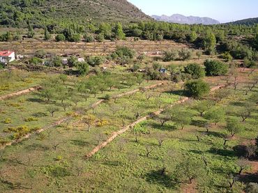 Terreny residencial en venda a Murla