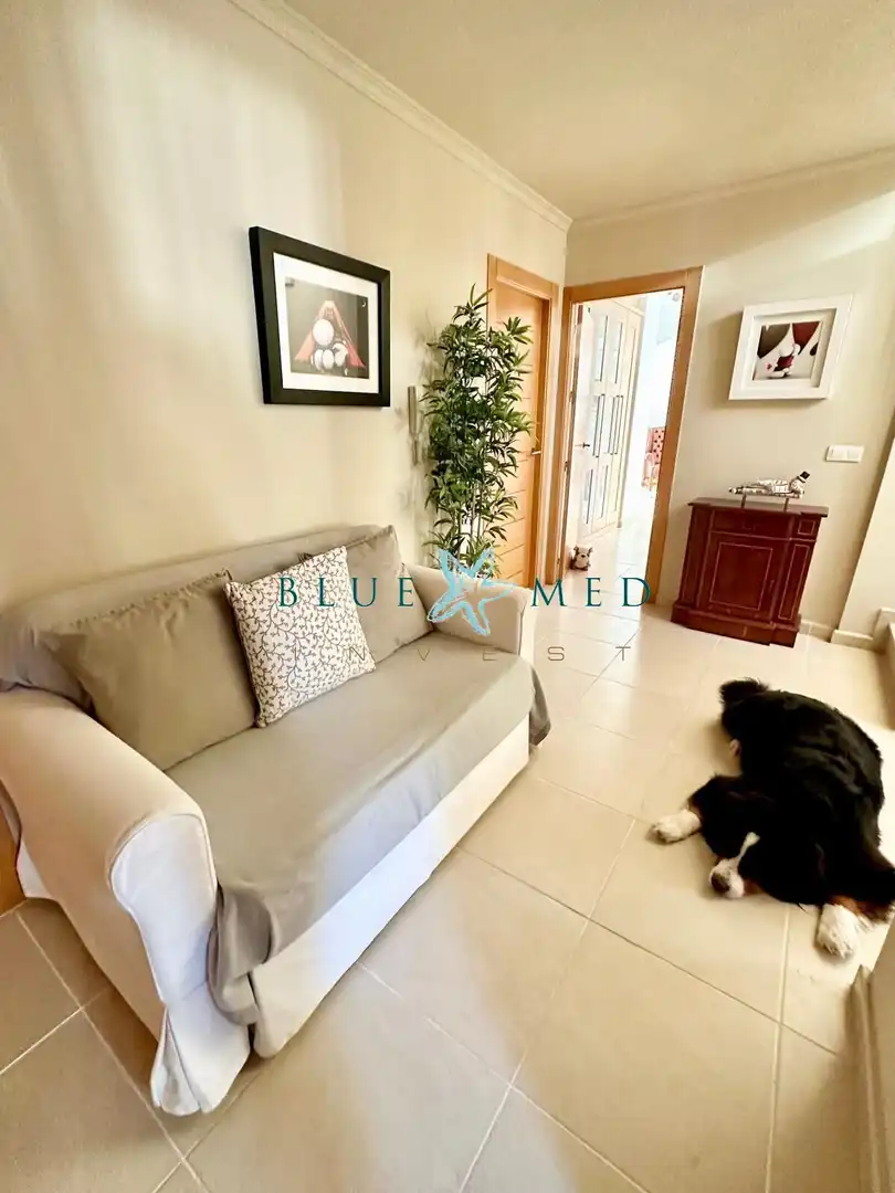 Vista exterior de Casa o chalet en venta en Cartagena con Aire acondicionado, Jardín privado y Terraza