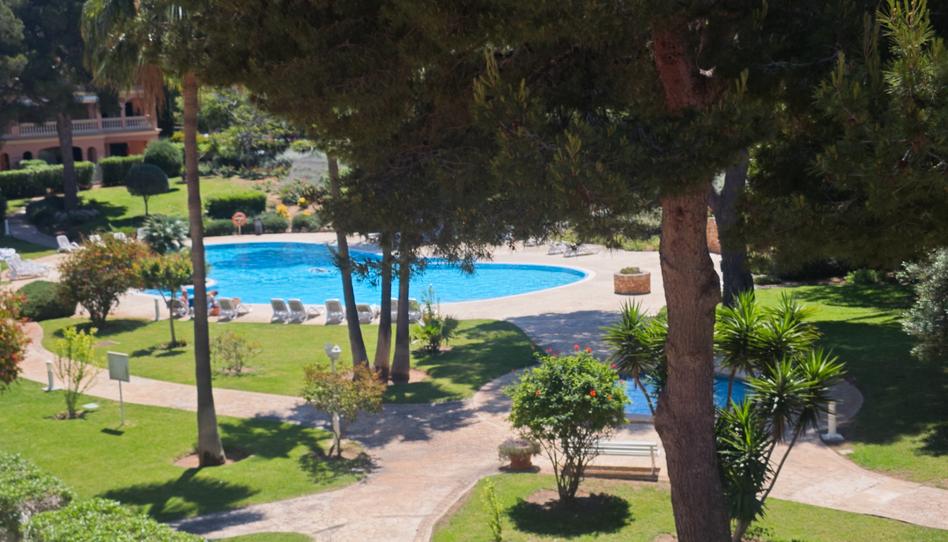 Photo 1 of Flat to rent in Carrer del Tord, Maioris-Puig de Ros, Illes Balears