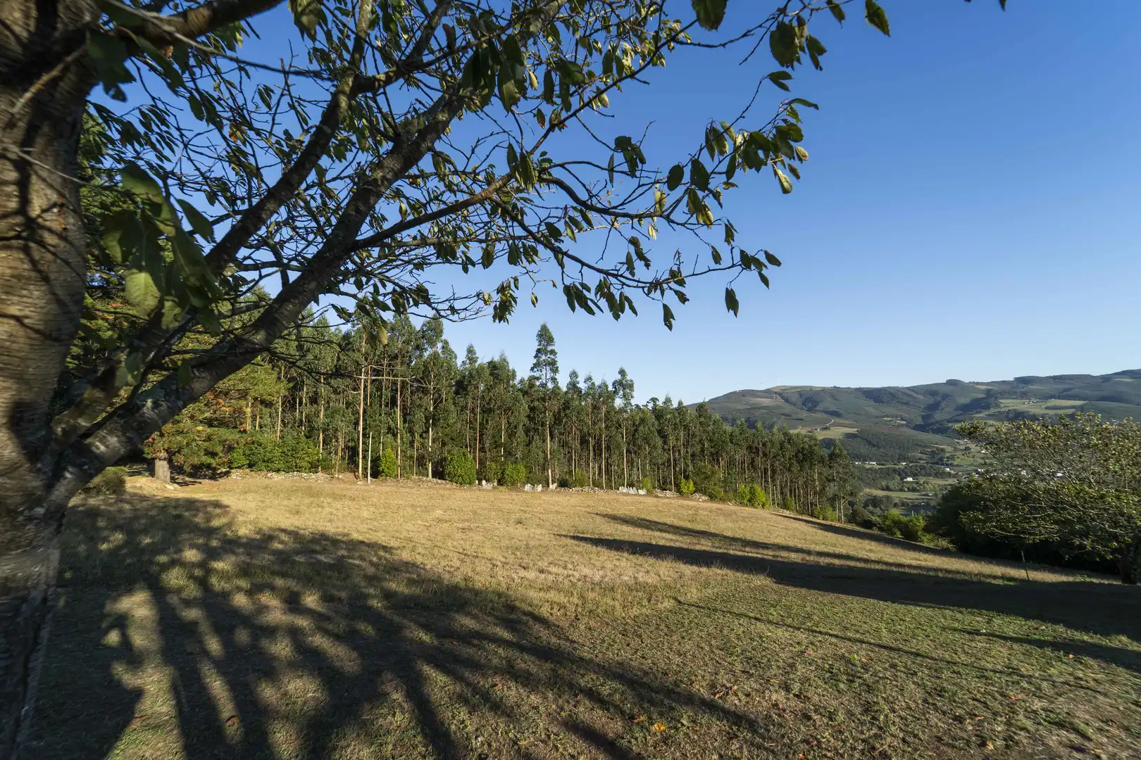 Finca rústica en venta en San Tirso de Abres con Amueblado