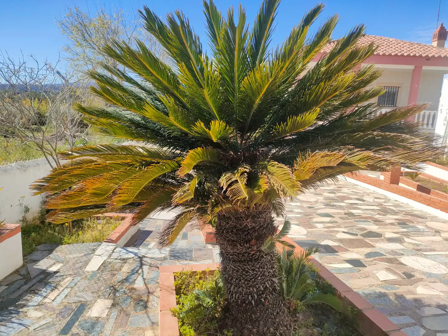 Villa avec terrasse à vendre à Turís, imagen 61
