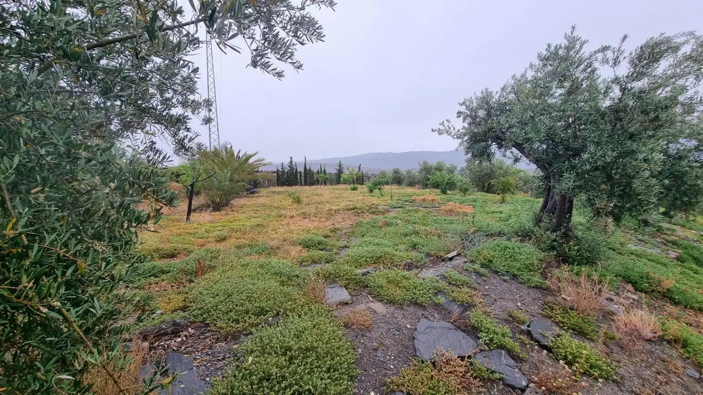 Country house with garden for sale in PARAJE PAGO DE OSCAYAR, imagen 27