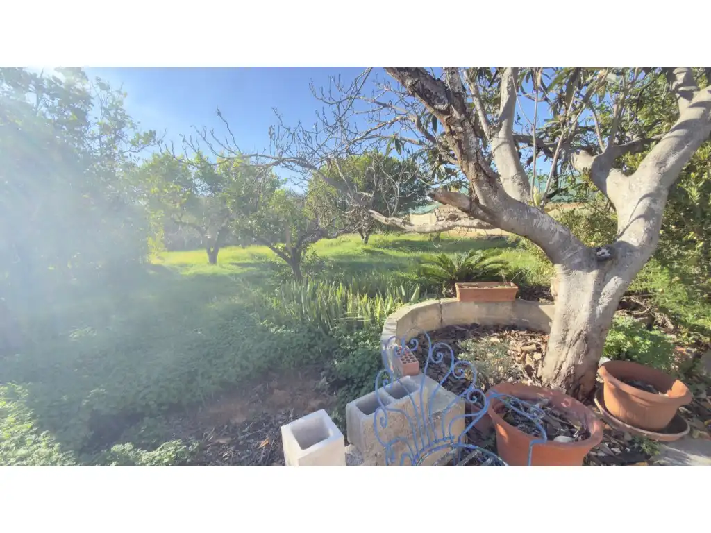 Finca rústica en venta en Partida Pantà, El Vedat - Santa Apolonia
