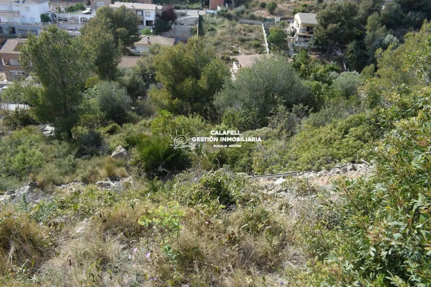 Terrain rustique à vendre à SANTA MARIA DE MONTSERRAT 117, imagen 3