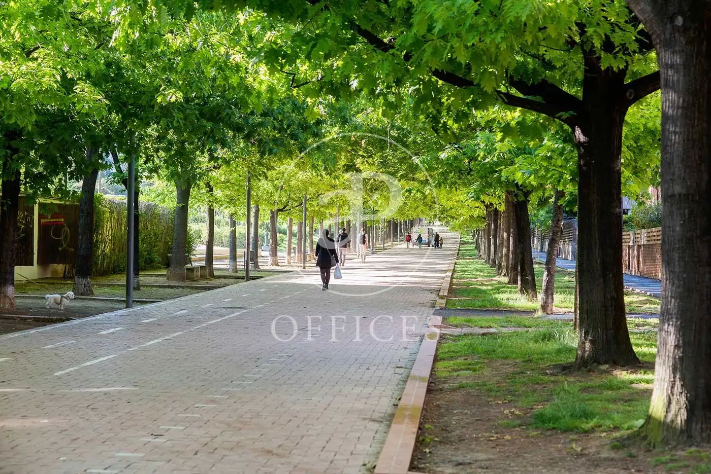 Oficina de lloguer a Carrer de Prat de la Riba, imagen 32