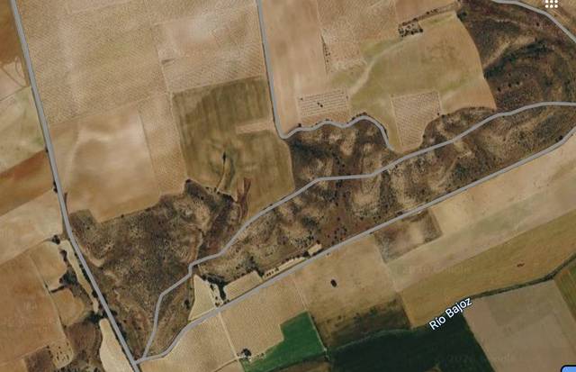 Terreno en Venta en Diseminado Diseminados, 31 en Morales de Toro