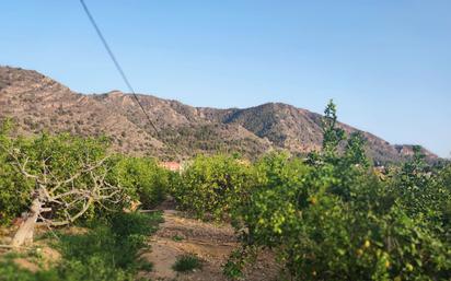 Land for sale in  Murcia Capital