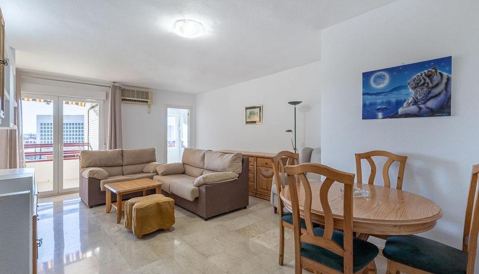 Foto 1 de Piso de alquiler en Calle Escultor Lopez Azaustre, Barrio de Zaidín, Granada