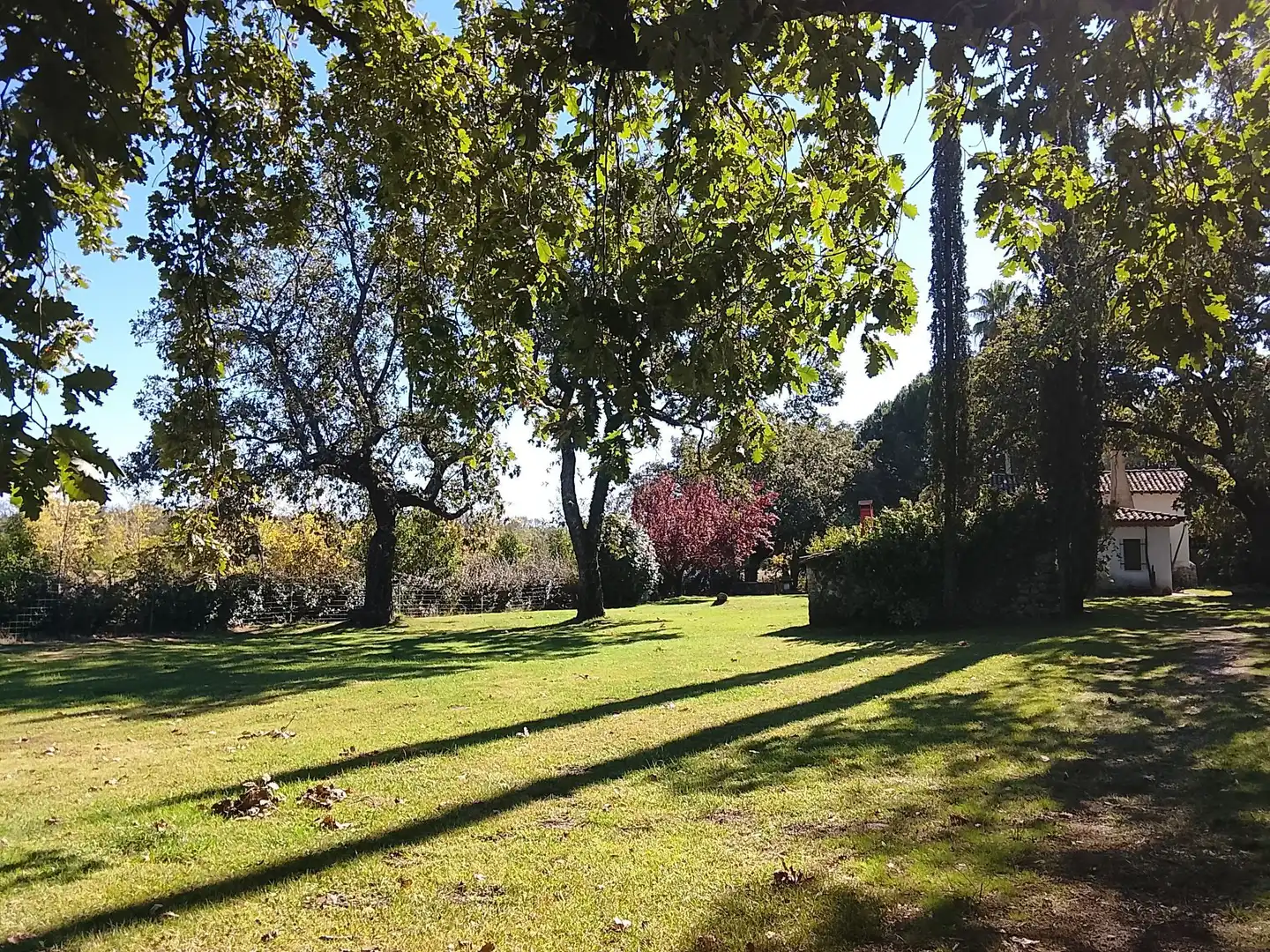 Haus mit Garten zum Verkauf in Madrigal de la Vera, imagen 147