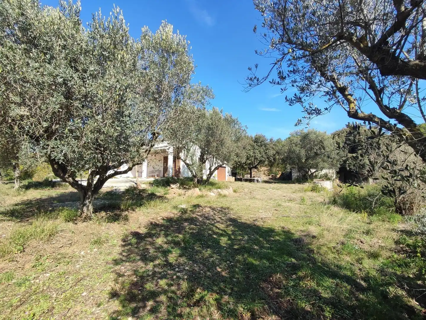 Country homes for sale in Collbató
