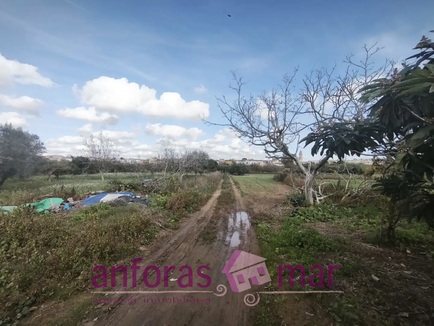 Terreno rústico en venta en La Riera de Gaià, imagen 4
