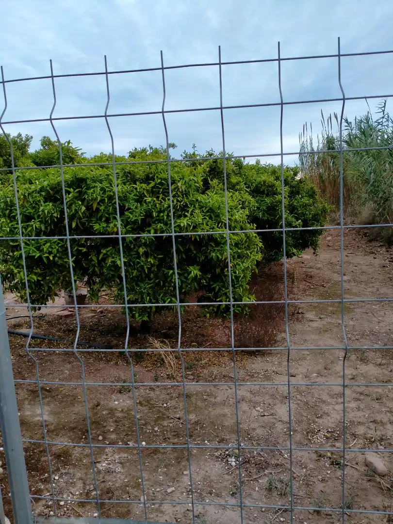 Rural land for sale in Gilet, imagen 10