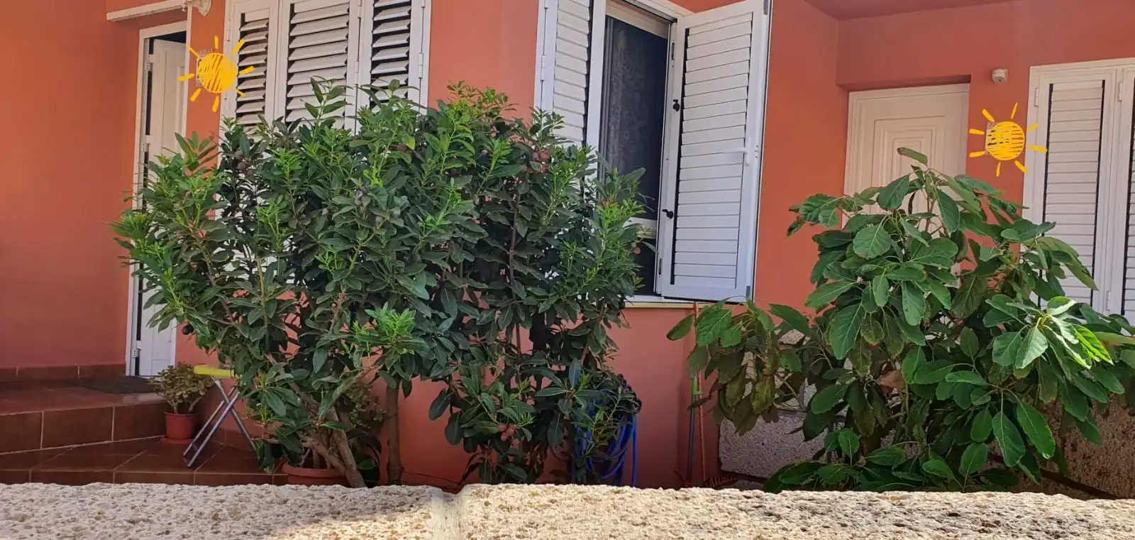Jardín de Casa adosada en venta en Arico con Terraza y Balcón