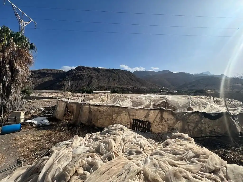 Terreny rústic en venda a La Aldea de San Nicolás, imagen 3